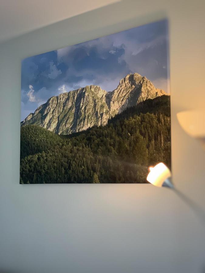 Apartament Lesny Z Kominkiem - Viva Pod Giewontem Apartamenty Zakopane Kültér fotó