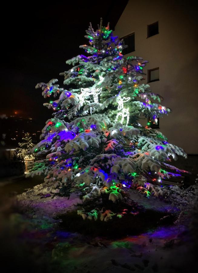 Apartament Lesny Z Kominkiem - Viva Pod Giewontem Apartamenty Zakopane Kültér fotó