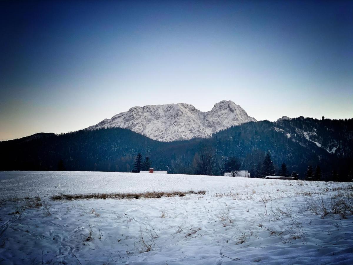 Apartament Lesny Z Kominkiem - Viva Pod Giewontem Apartamenty Zakopane Kültér fotó