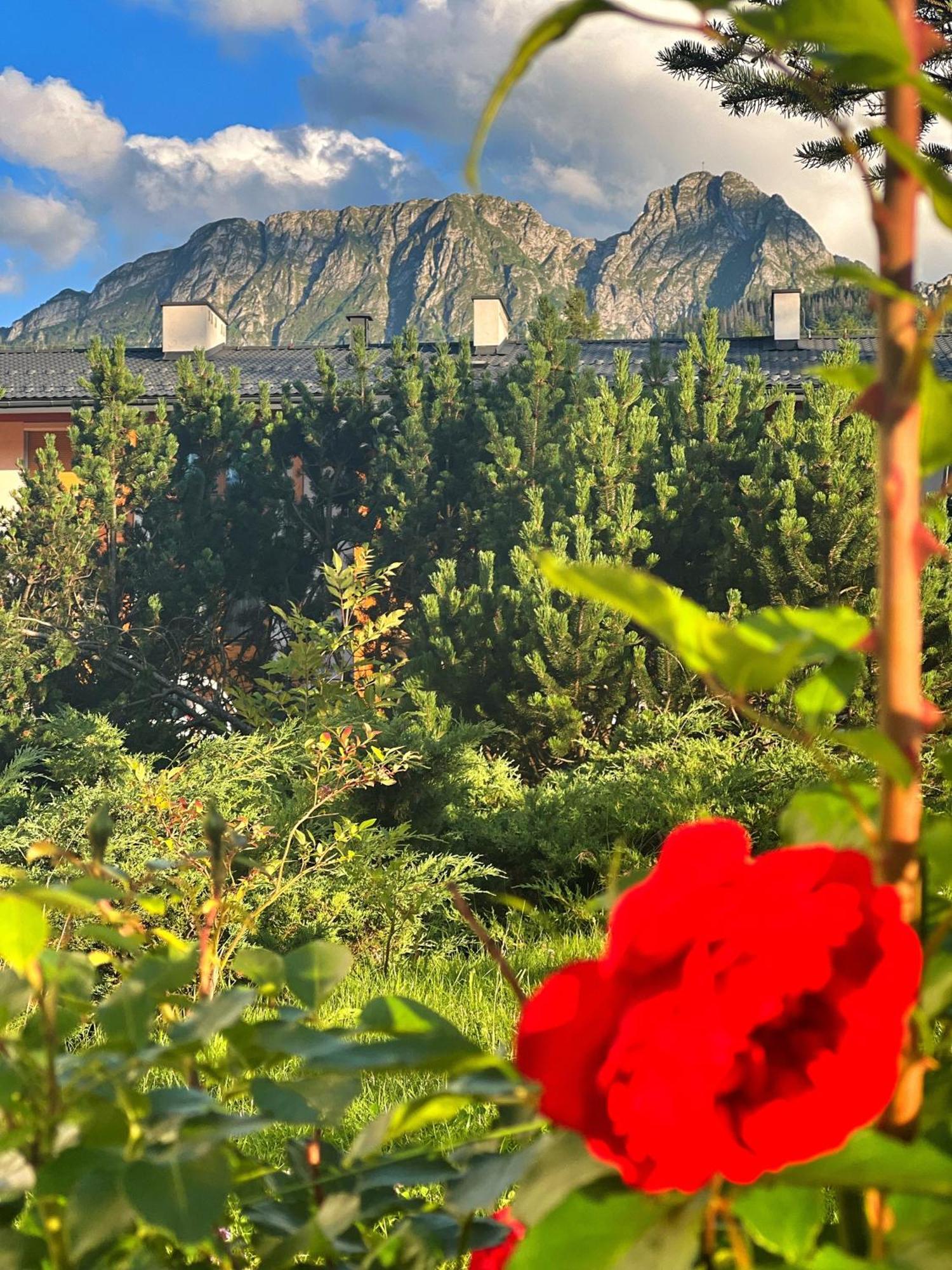 Apartament Lesny Z Kominkiem - Viva Pod Giewontem Apartamenty Zakopane Kültér fotó